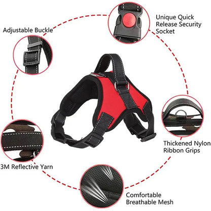 Adjustable Dog Harness Leash Set Chest Strap