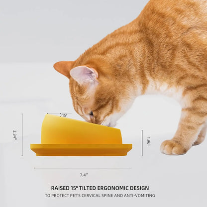 Tilted Cat Bowl Stainless Steel Neck Protection Anti Slip