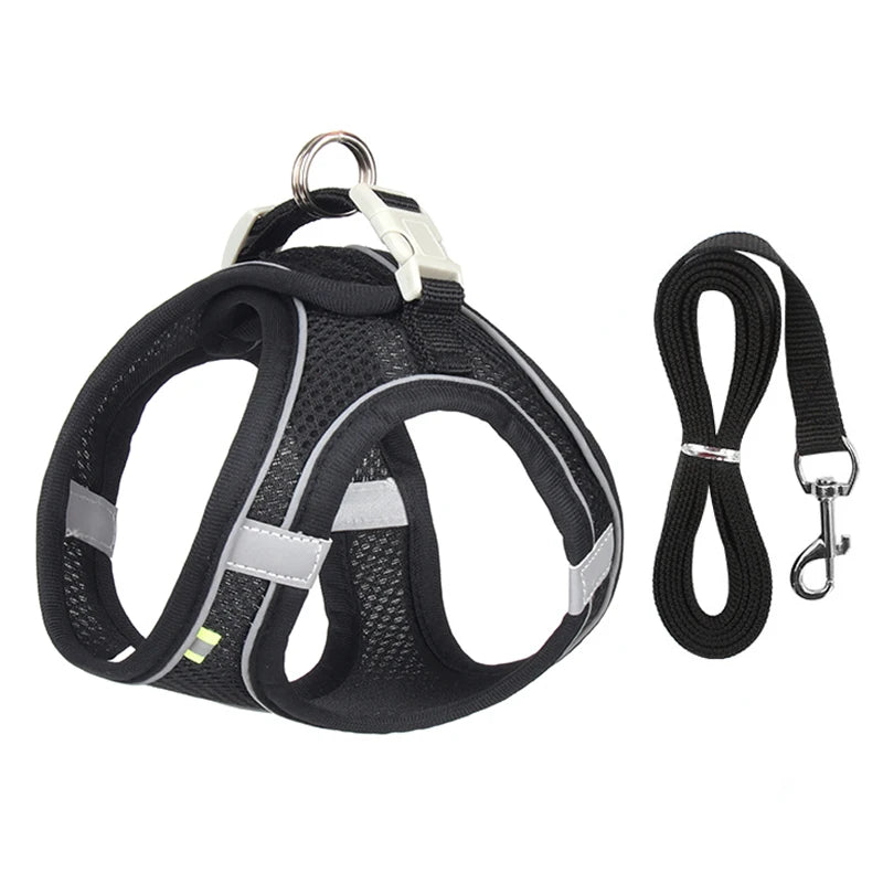 Dog Harness Leash Set for Small Dogs Adjustable Leash