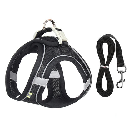 Dog Harness Leash Set for Small Dogs Adjustable Leash