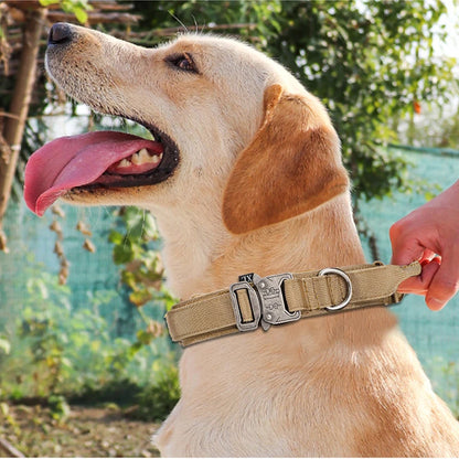 Pet Dog Collar Leash Set Nylon Material Durable Dog Collar