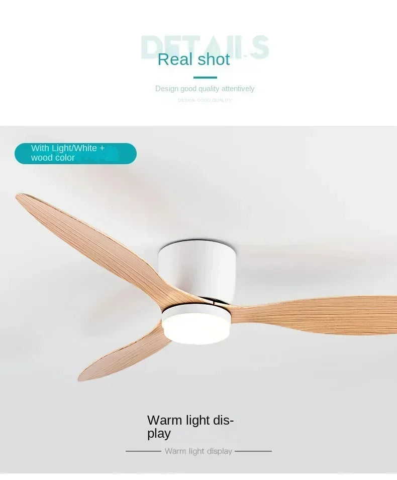 Modern LED Ceiling Fan Lights, Low Floor Decorative Lights