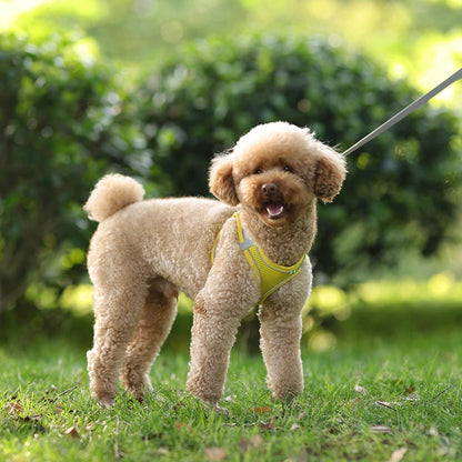 Dog Harness Leash Set for Small Dogs Adjustable Leash