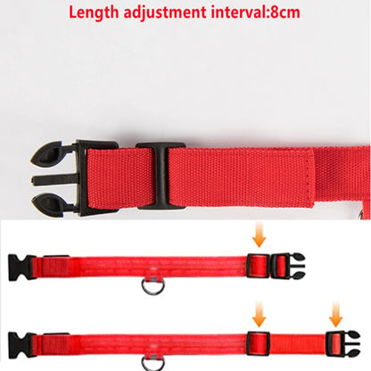 Usb Charging Glowing Dog Collar With Pendant Detachable