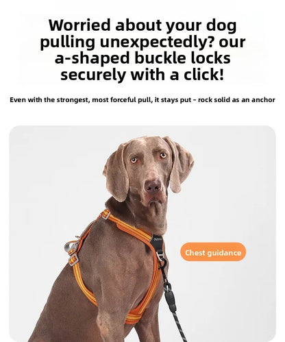 Car Safety Dog Harness with Dual Handle Quick Release