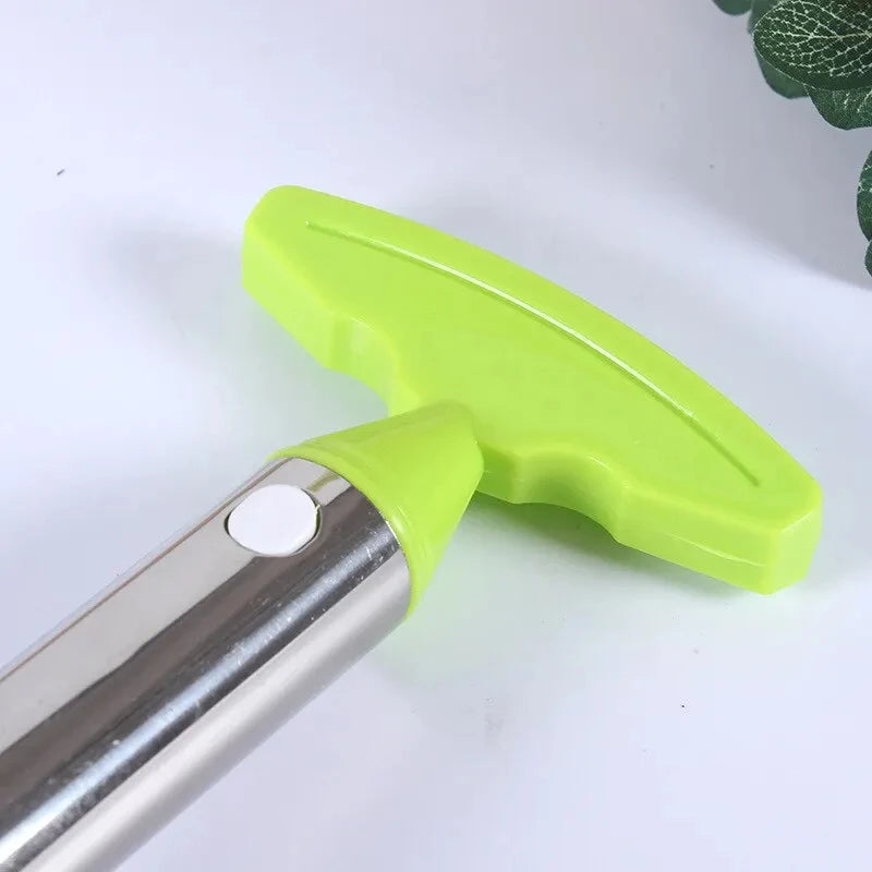 Pineapple Slicer Peeler Peeler Stainless Steel