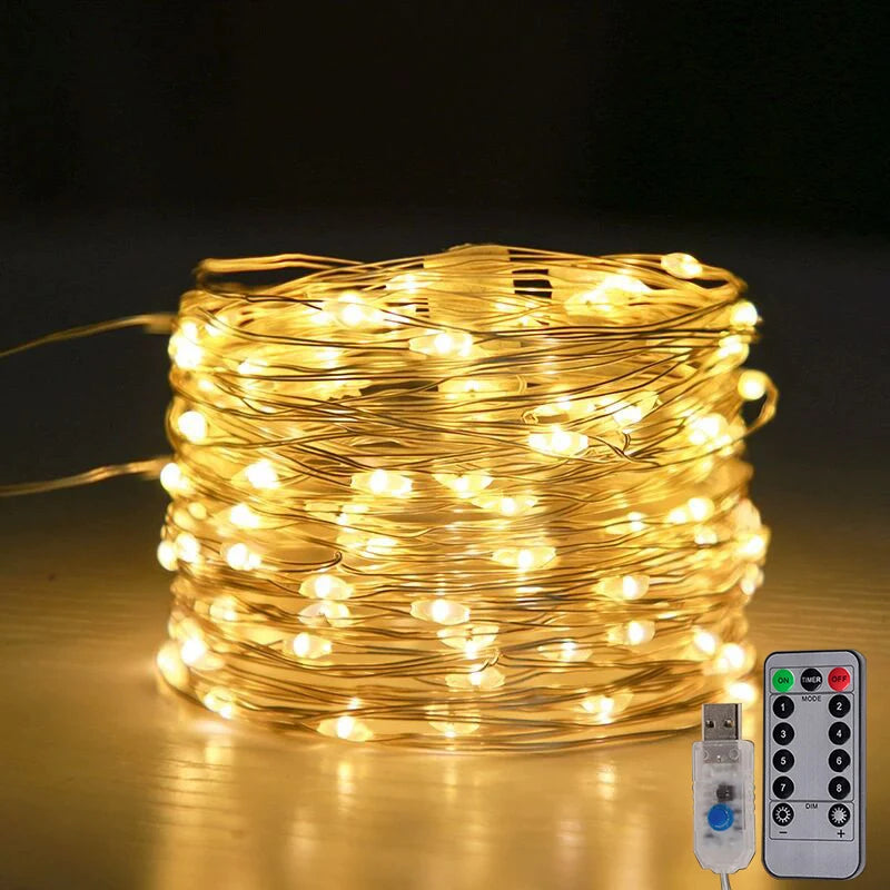 LED Fairy String Lights USB Plug with Remote Garland Light