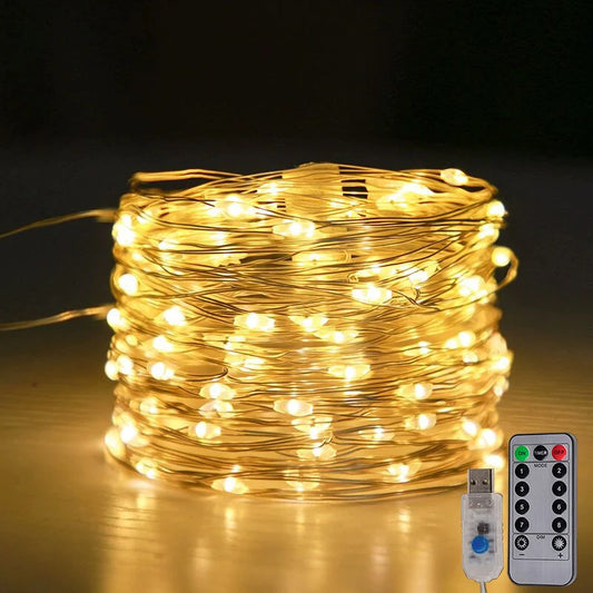 LED Fairy String Lights USB Plug with Remote Garland Light