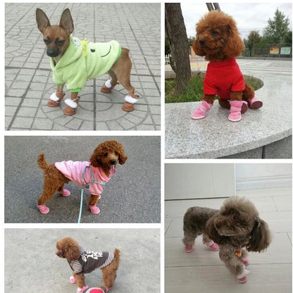 Pet Shoes Winter Warm Shoes Walking Sneakers