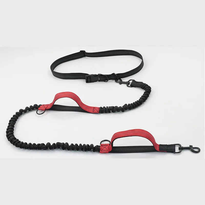 Double elastic reflective running leash portable