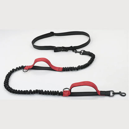 Double elastic reflective running leash portable