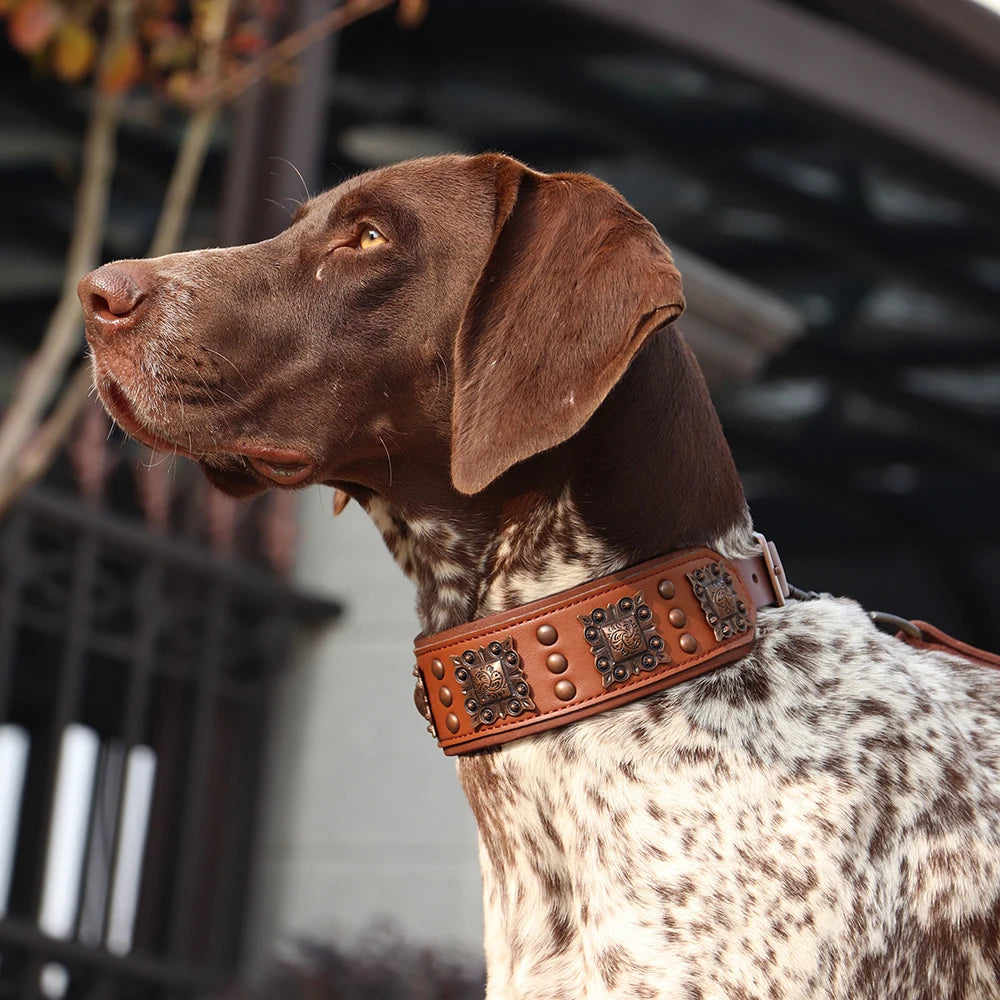 Genuine Leather Dog Collar 2inch Wide Dog Collars