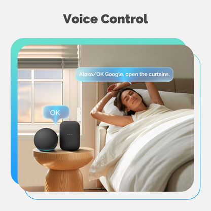 Tuya WiFi Smart Curtain Motor MOES Electric Roller Blinds