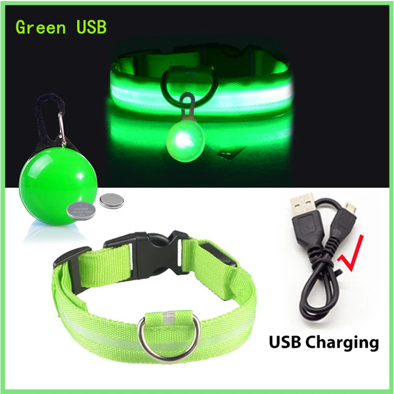 Usb Charging Glowing Dog Collar With Pendant Detachable