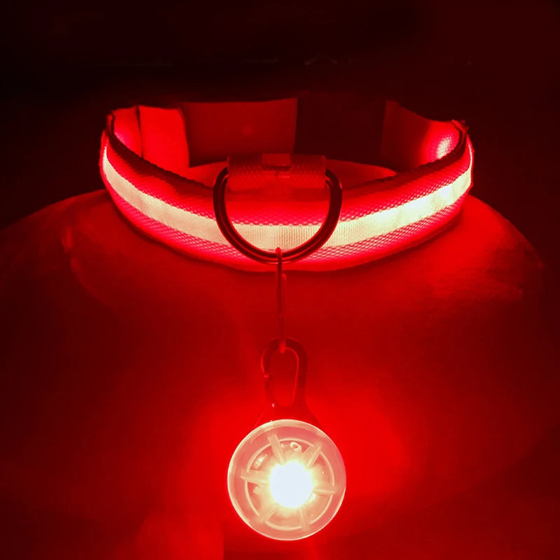 Usb Charging Glowing Dog Collar With Pendant Detachable
