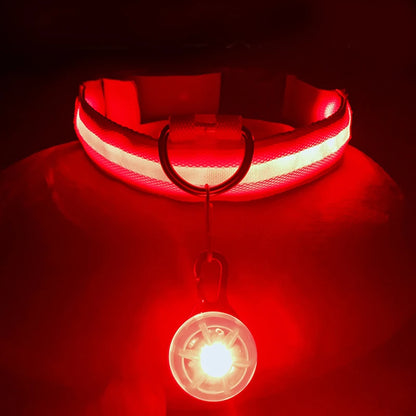 Usb Charging Glowing Dog Collar With Pendant Detachable