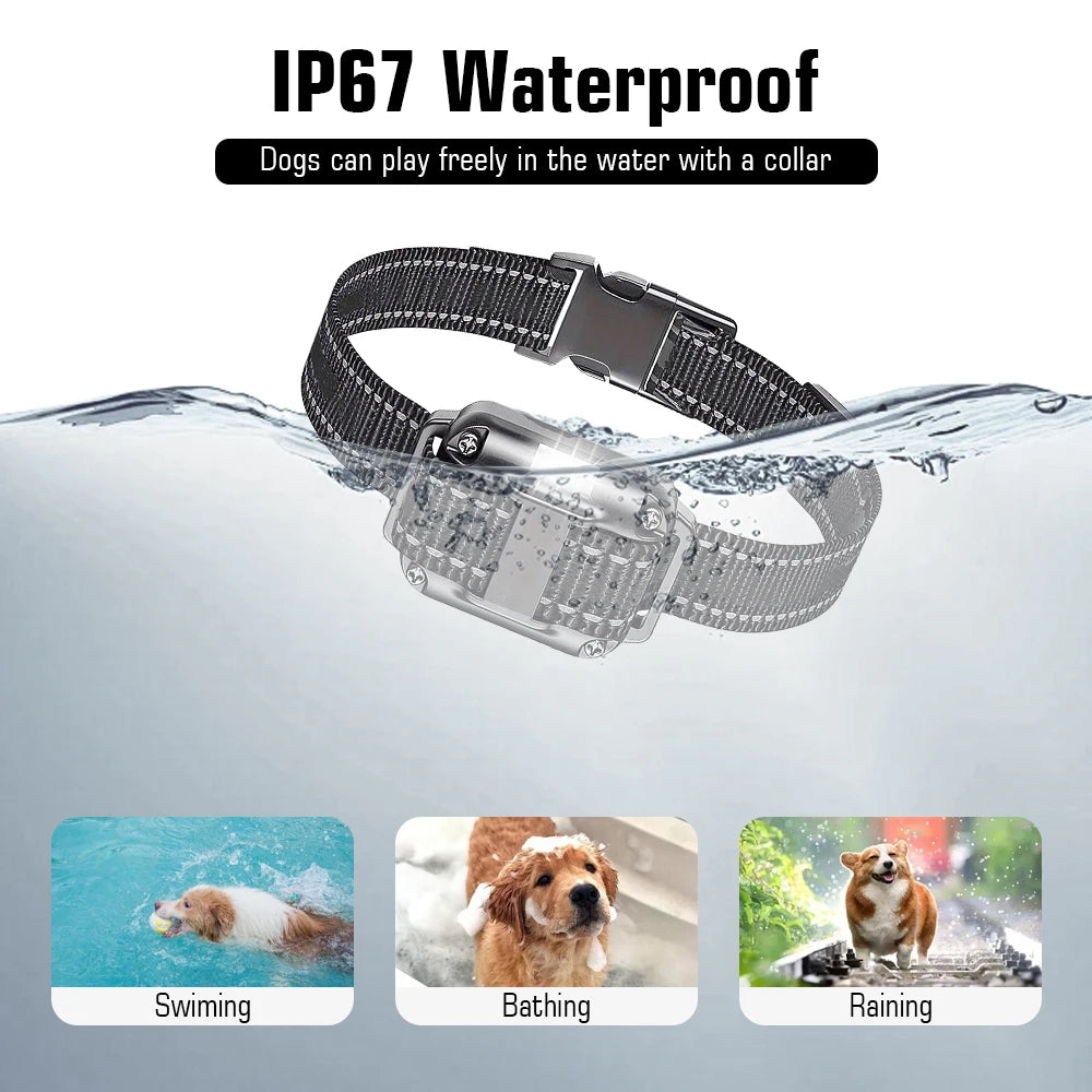 Dog Training Collar with Remote IP67 Waterproof