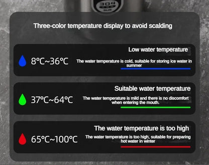 Stainless Steel Thermos Bottle with LED Temperature Bottle