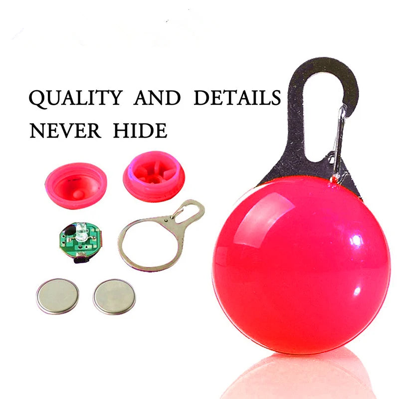 Usb Charging Glowing Dog Collar With Pendant Detachable