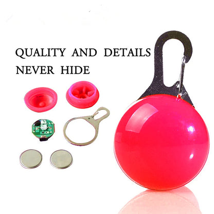 Usb Charging Glowing Dog Collar With Pendant Detachable
