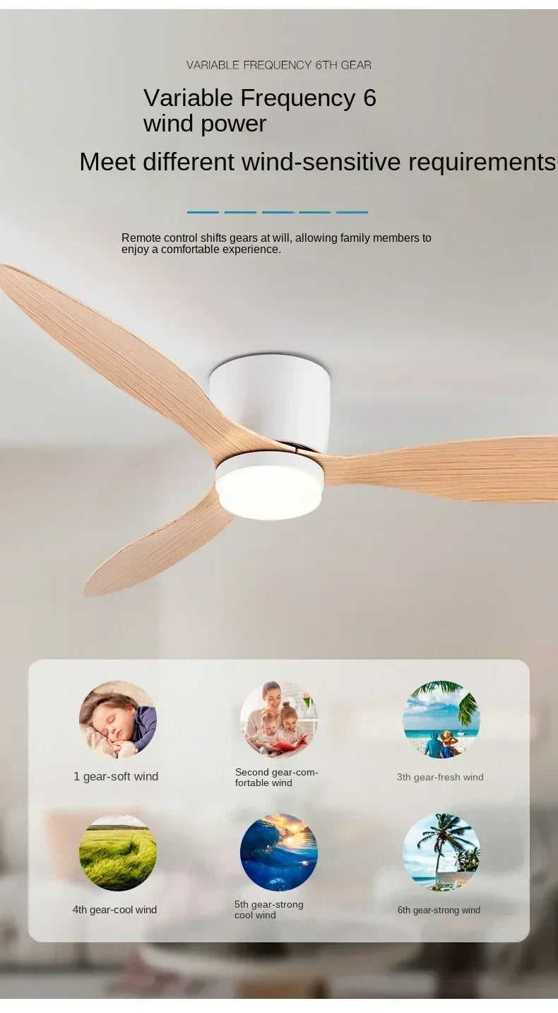 Modern LED Ceiling Fan Lights, Low Floor Decorative Lights
