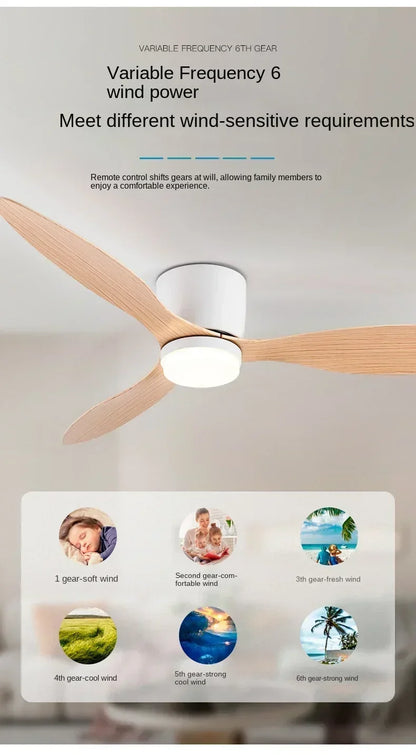 Modern LED Ceiling Fan Lights, Low Floor Decorative Lights