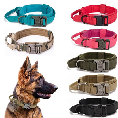 Pet Dog Collar Leash Set Nylon Material Durable Dog Collar