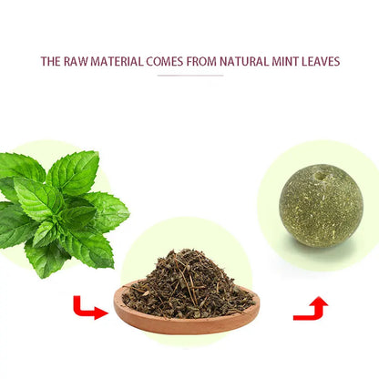 Cats Catnip Cat Toy Natural Ball Removal  Cat Grass