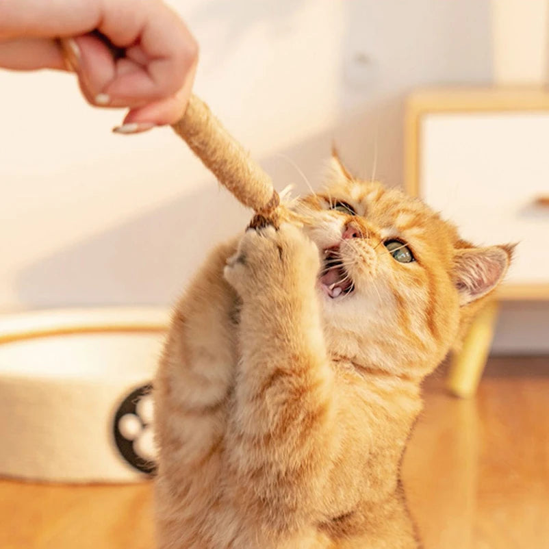 Popular Wood Polygonum teasing cat toy snacks self-hi
