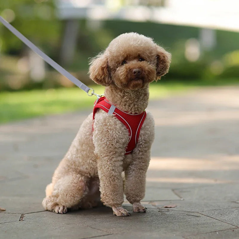 Puppy Harness Set Dog Accessories Adjustable Harness