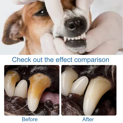Pet Oral Spray Dental Dirt Remover Cat Teeth Cleaning Breath Freshener