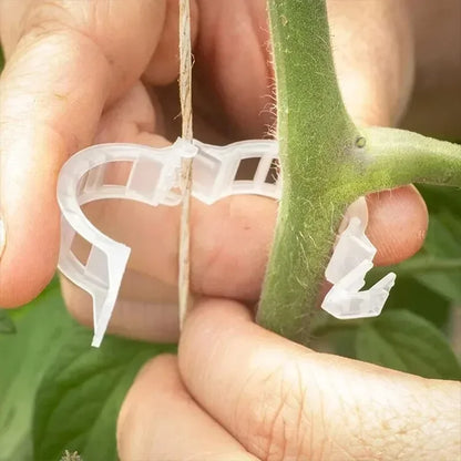 Plant Support Clips Reusable Plastic Connects Vine