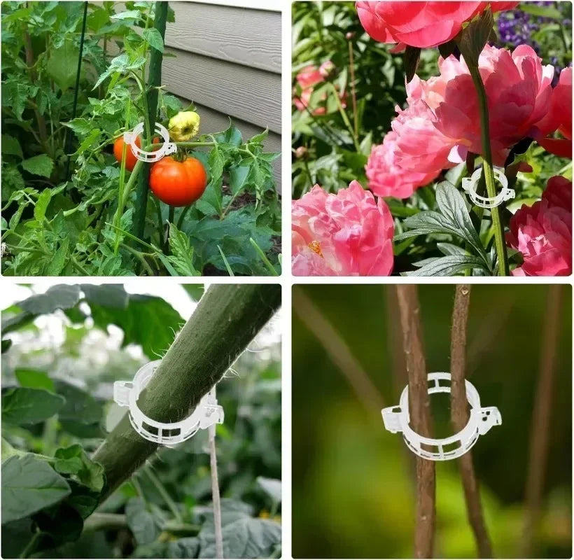 Plant Support Clips Reusable Plastic Connects Vine