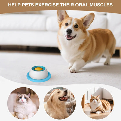 Pet Feeding Accessories Dog Treat Toy Puzzle Toys