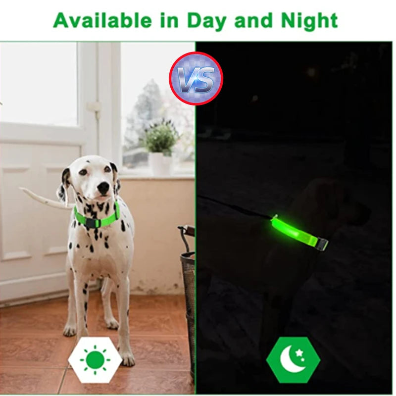 Usb Charging Glowing Dog Collar With Pendant Detachable