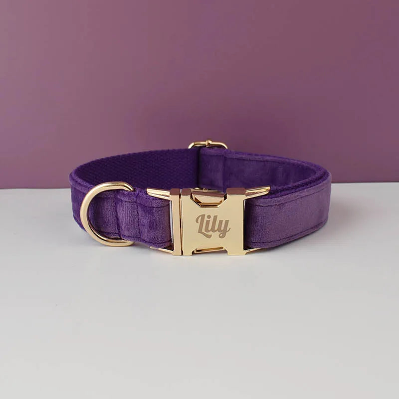 Velvet Collar Free Engrave Dog Collar Leash Dog Collars