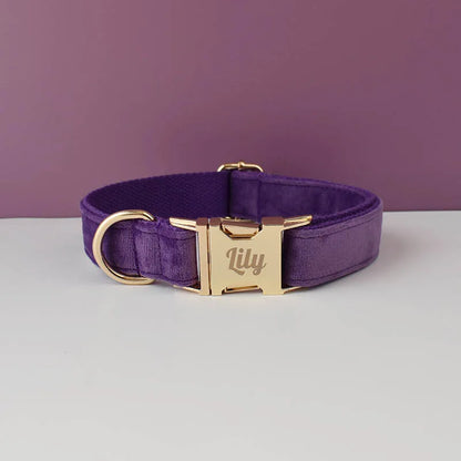 Velvet Collar Free Engrave Dog Collar Leash Dog Collars