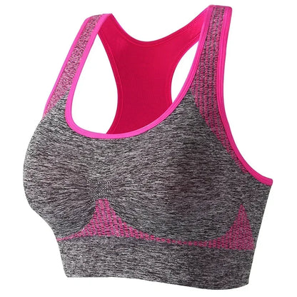 New Sports Bra Women Seamless Gym Jogging Crop Top Yoga Fitness