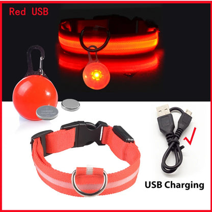 Usb Charging Glowing Dog Collar With Pendant Detachable
