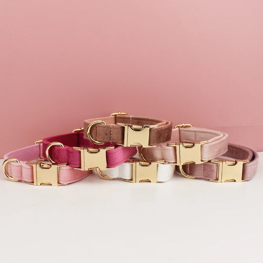 Velvet Collar Free Engrave Dog Collar Leash Dog Collars
