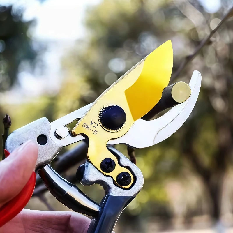 Horticultural Shears Trim Branches Fruit Trees Flowers