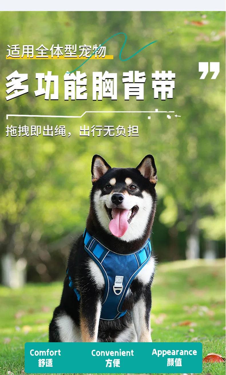 Automatic retractable dog leash with chest and back strap