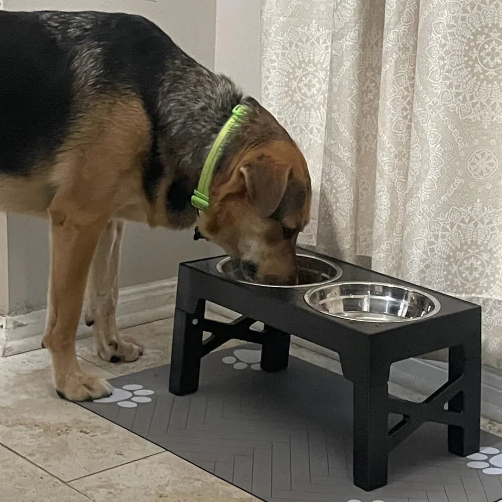 Elevated Dog Feeder Bowls Adjustable Raised Stand