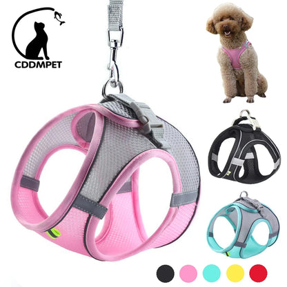 Dog Harness Leash Set for Small Dogs Adjustable Leash