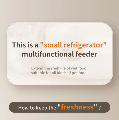 6 Meals Automatic Pet Feeder Smart Cat Food Dispenser