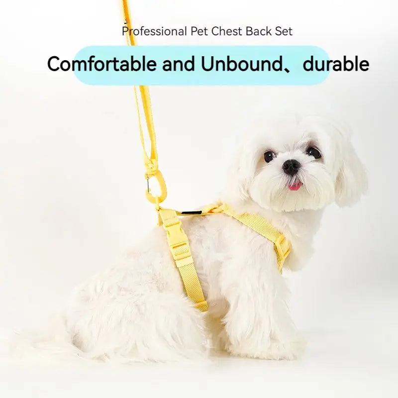 Adjustable Dog Harness Collar Leash Set Macarone Color