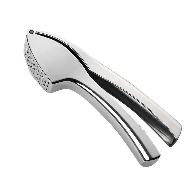 New stainless steel kitchen garlic puree