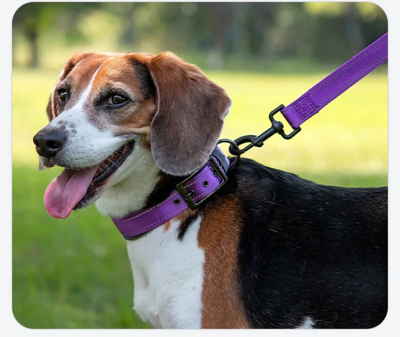Padded Dog Collars Soft Reflective Wide Pet Collars