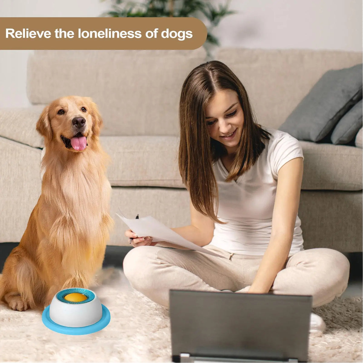 Pet Feeding Accessories Dog Treat Toy Puzzle Toys