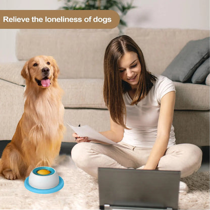 Pet Feeding Accessories Dog Treat Toy Puzzle Toys